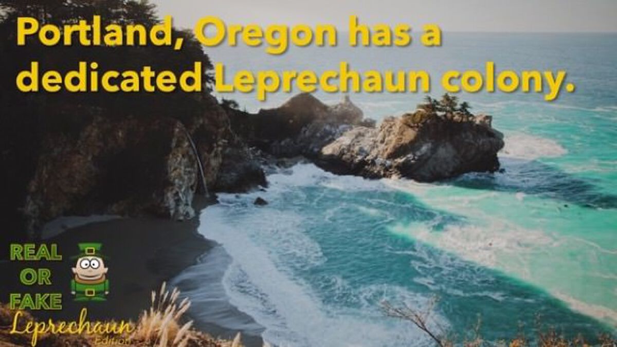 Real or Fake: Leprechaun Edition image number null