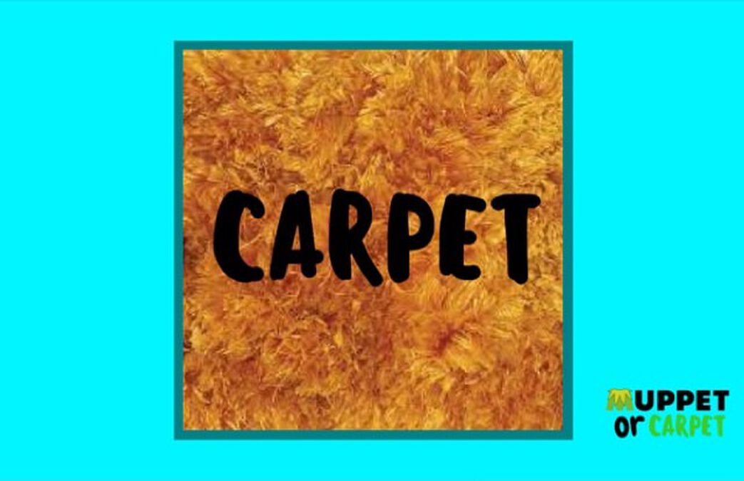 Muppet or Carpet image number null