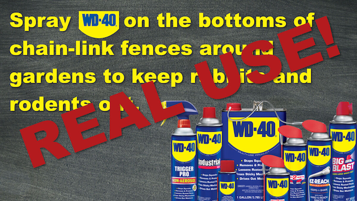 The WD40 Game image number null