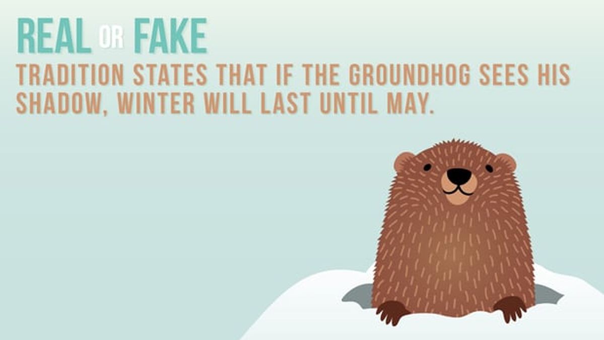 REAL OR FAKE: Groundhog Day Edition image number null