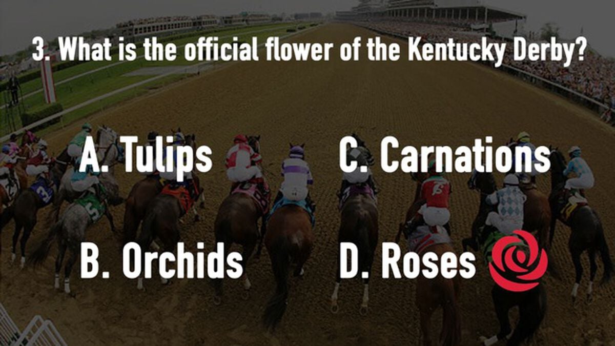Kentucky Derby Trivia image number null