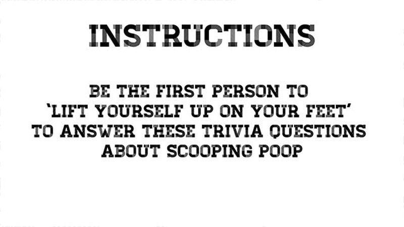 Poopity Scoop