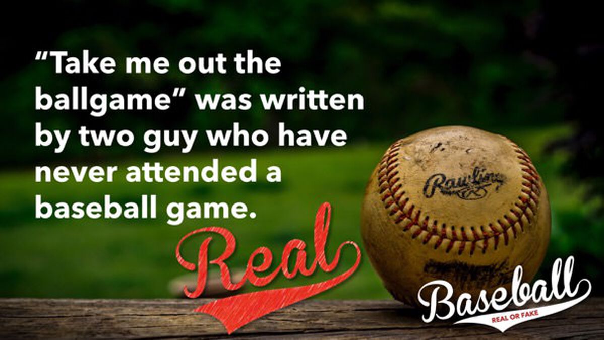 Baseball: Real or Fake image number null
