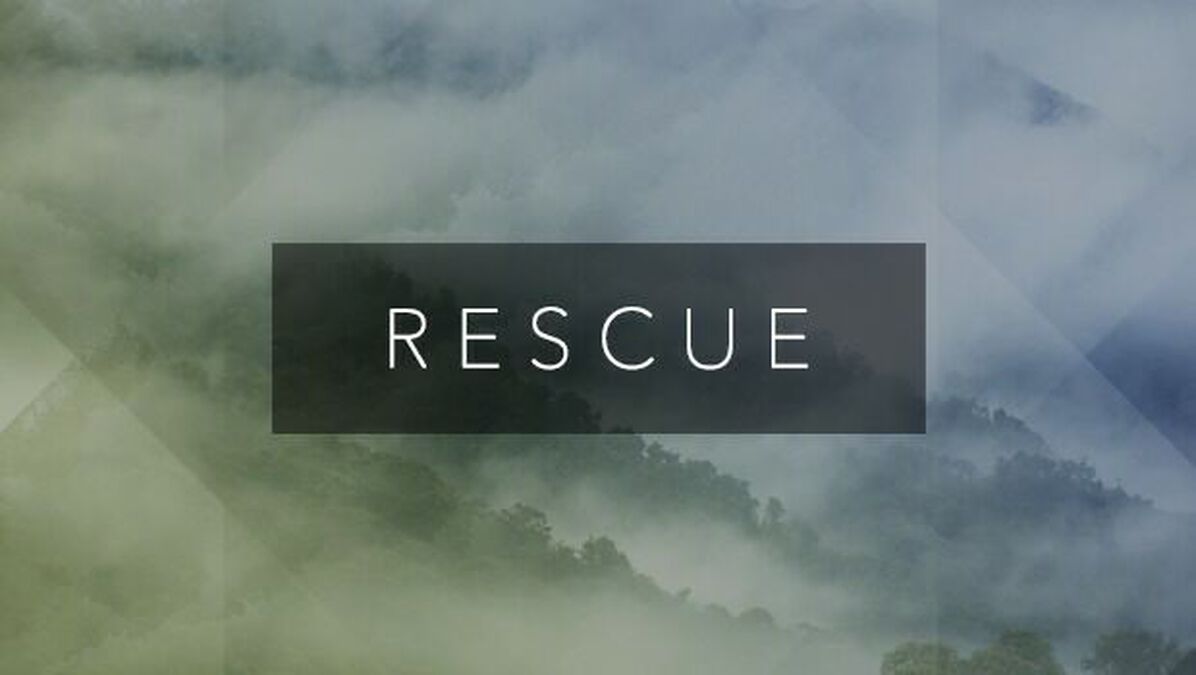 Rescue image number null