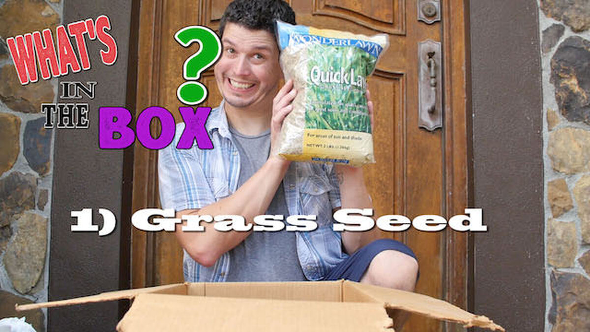 What's in the Box? image number null