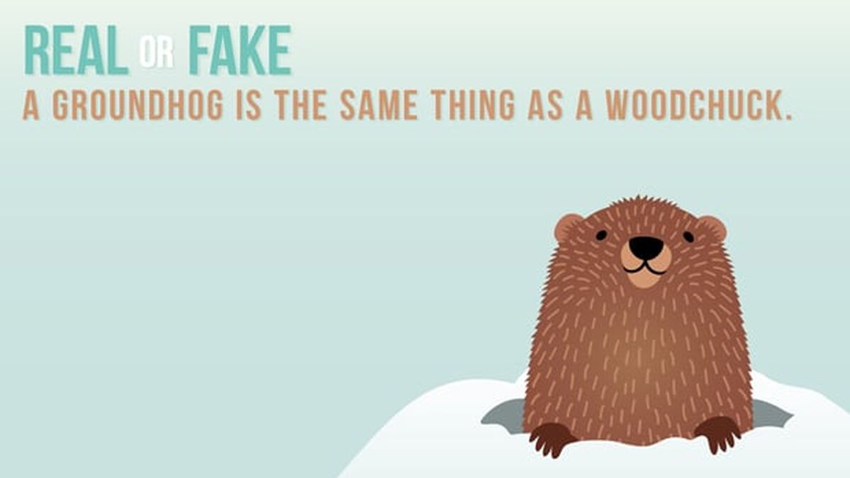 REAL OR FAKE: Groundhog Day Edition image number null