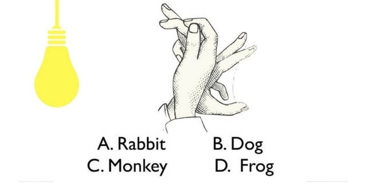 Name That Shadow Puppet image number null