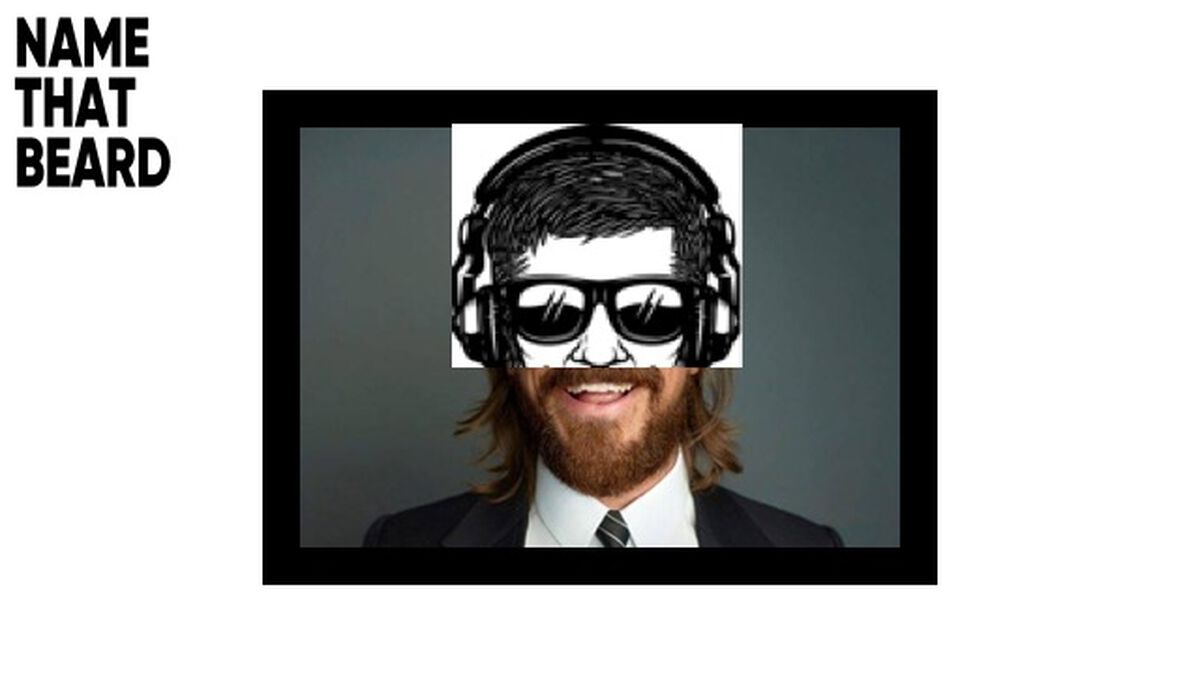 Name That Beard Celebrity Edition image number null