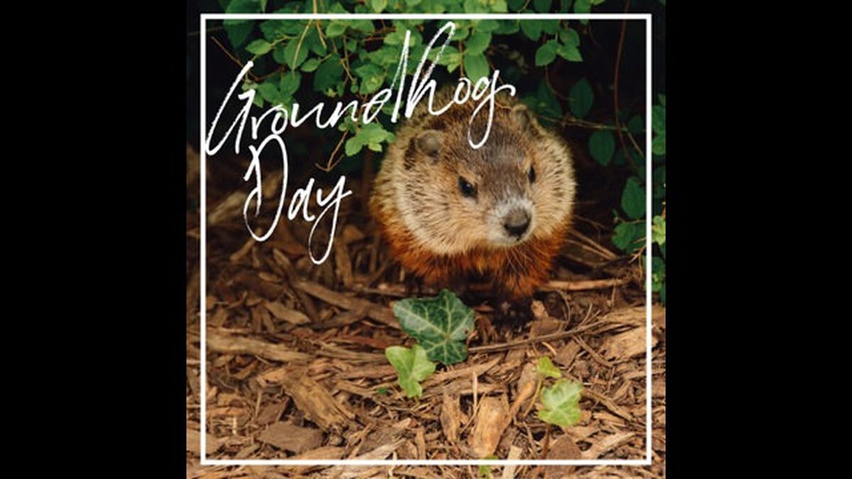 National Holiday Social Media Pack: February image number null