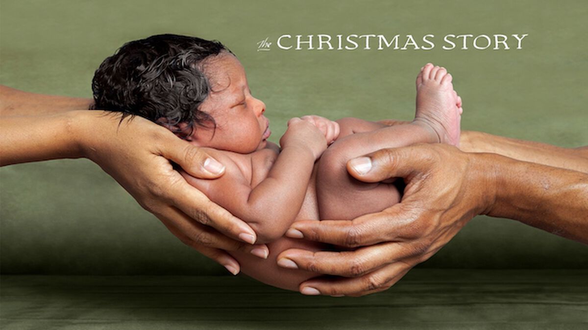 Viva! Christmas image number null