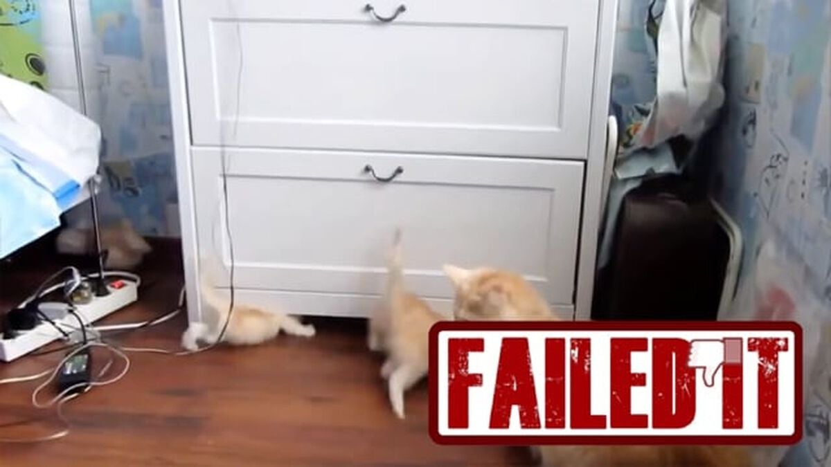 Nailed It or Failed It Cat Edition - Volume 3 image number null