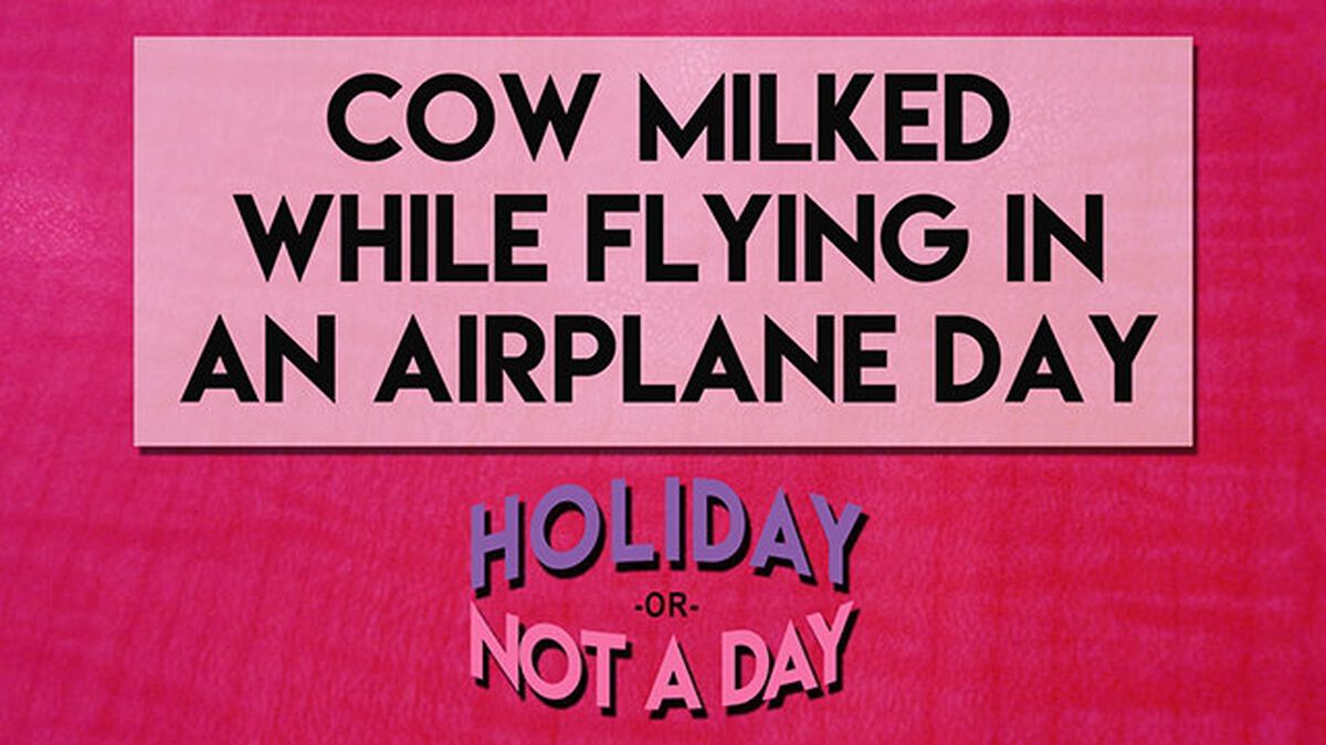 Holiday or Not a Day: February image number null