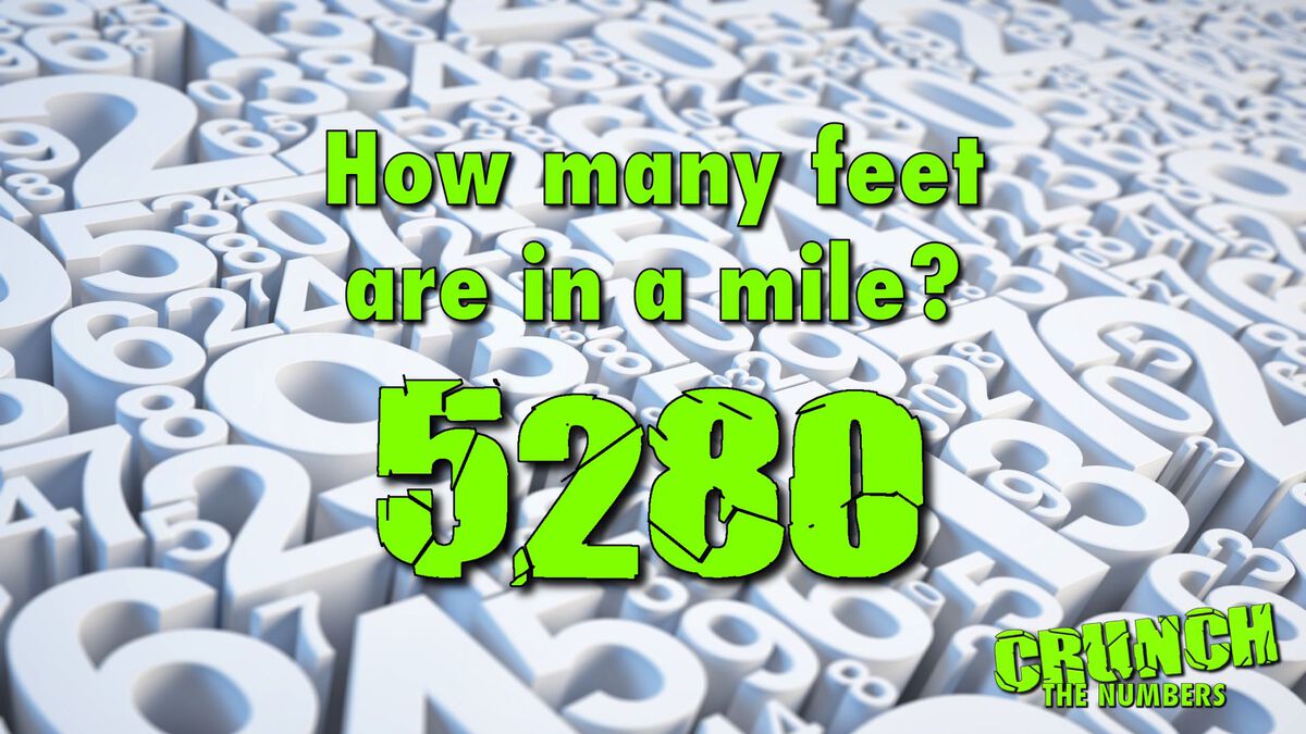 Crunch The Numbers image number null