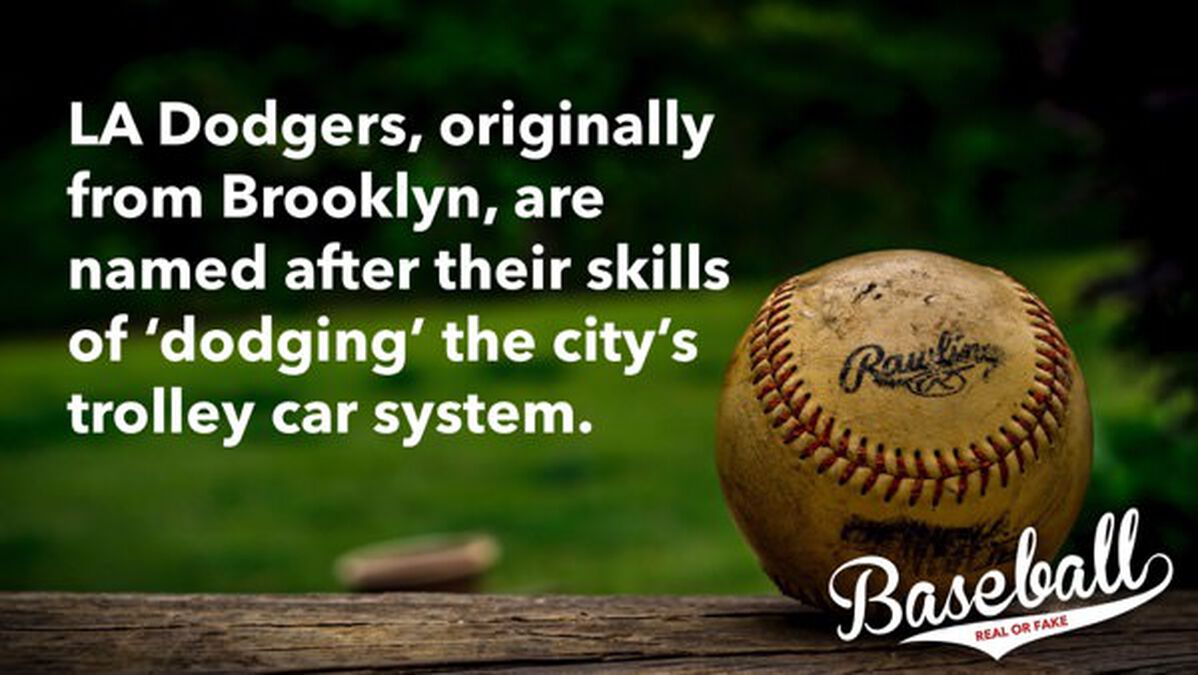 Baseball: Real or Fake image number null