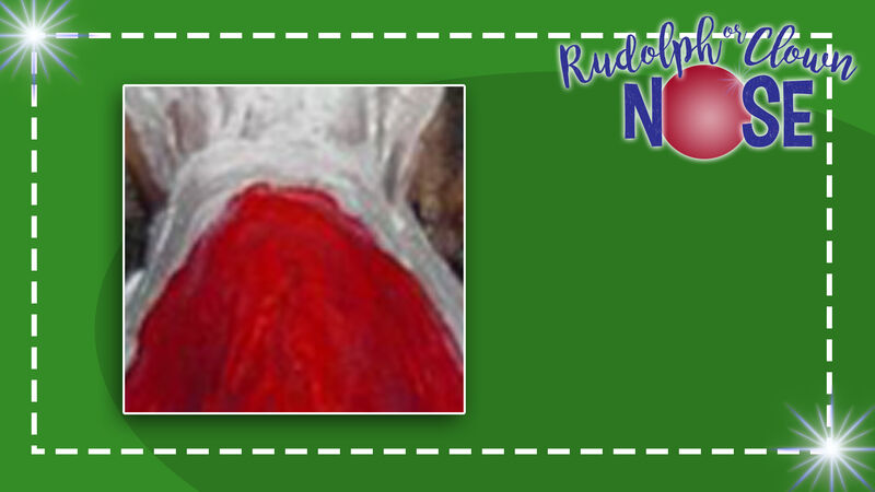 Rudolph Or Clown Nose?