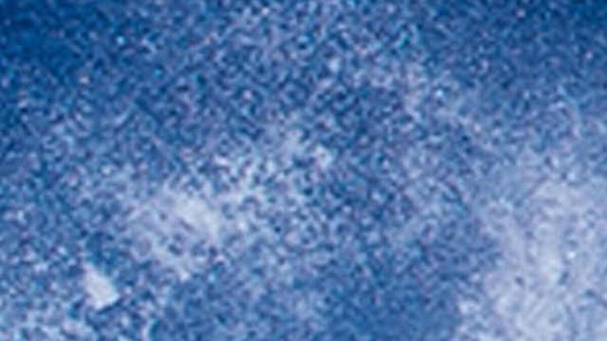White Cap or White Out image number null