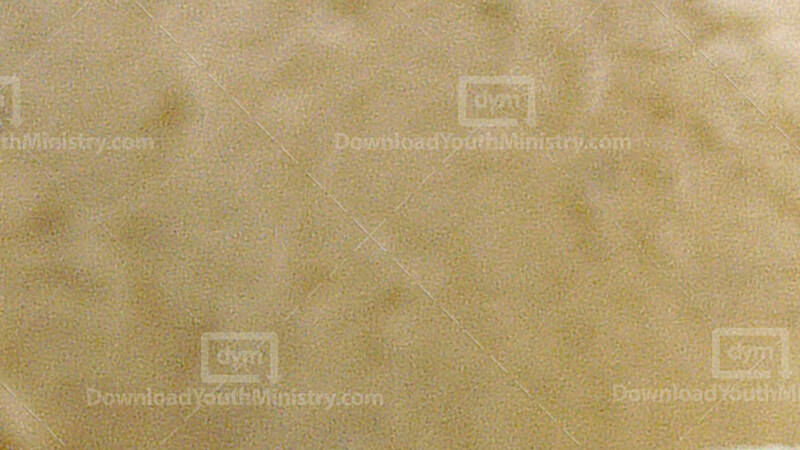 Dessert or Desert Game