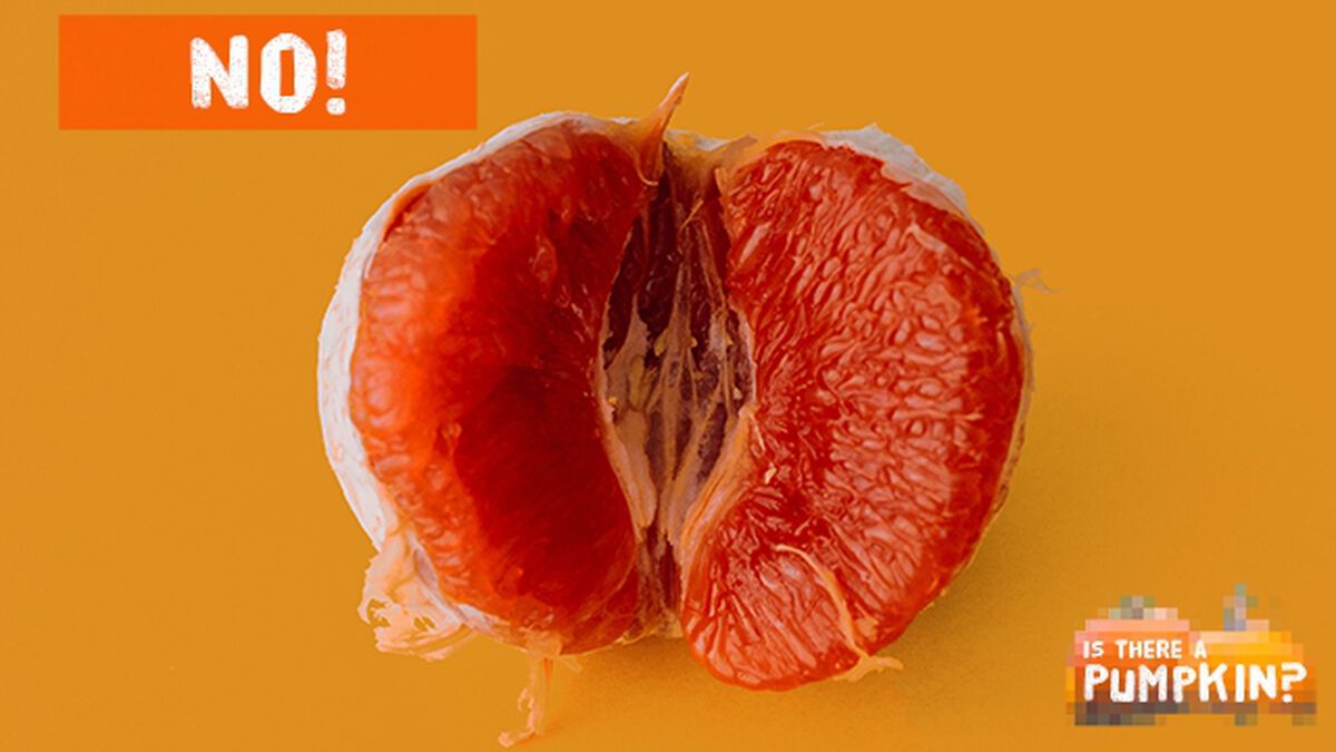 Is There a Pumpkin? image number null