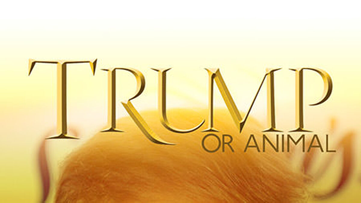 Trump or Animal Game image number null