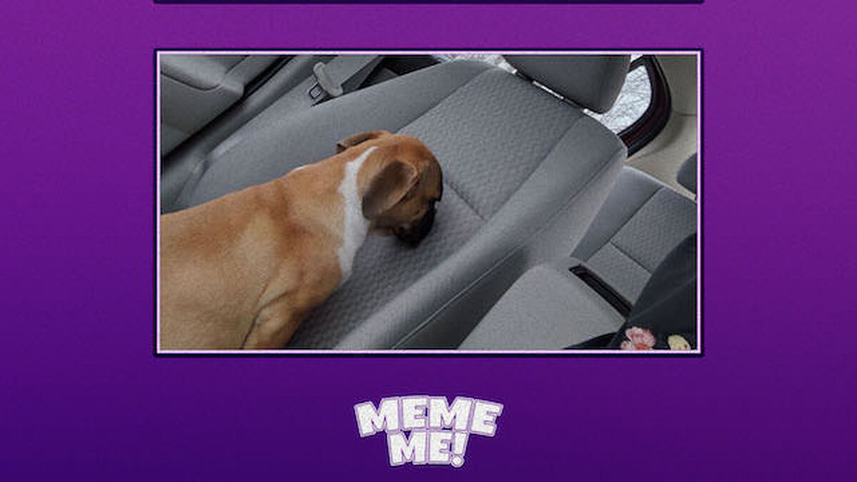 Meme Me image number null