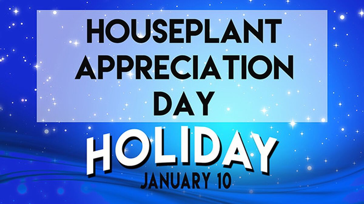 Holiday or Not a Day: January image number null