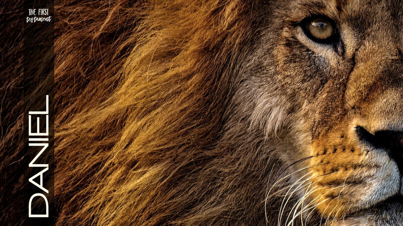 First Testament Bundle