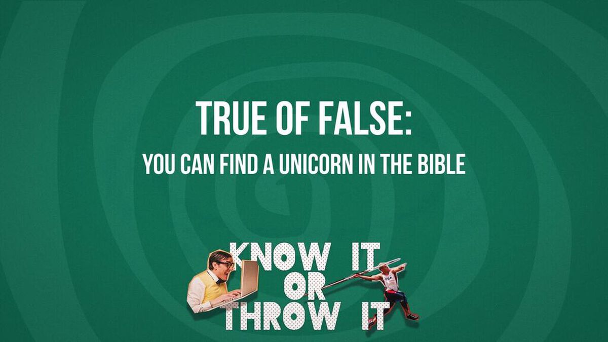 Know It or Throw It image number null