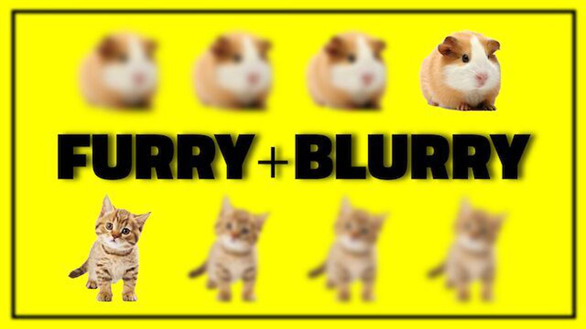 Furry Blurry image number null