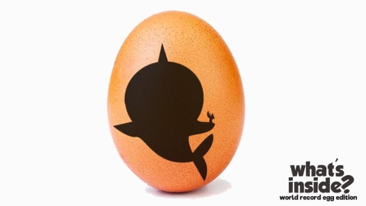 What's Inside? World Record Egg Edition image number null