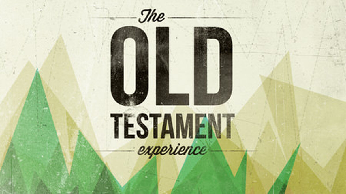 The Old Testament Experience image number null