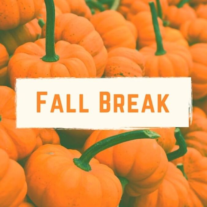 Fantastic Fall Insta Pack image number null