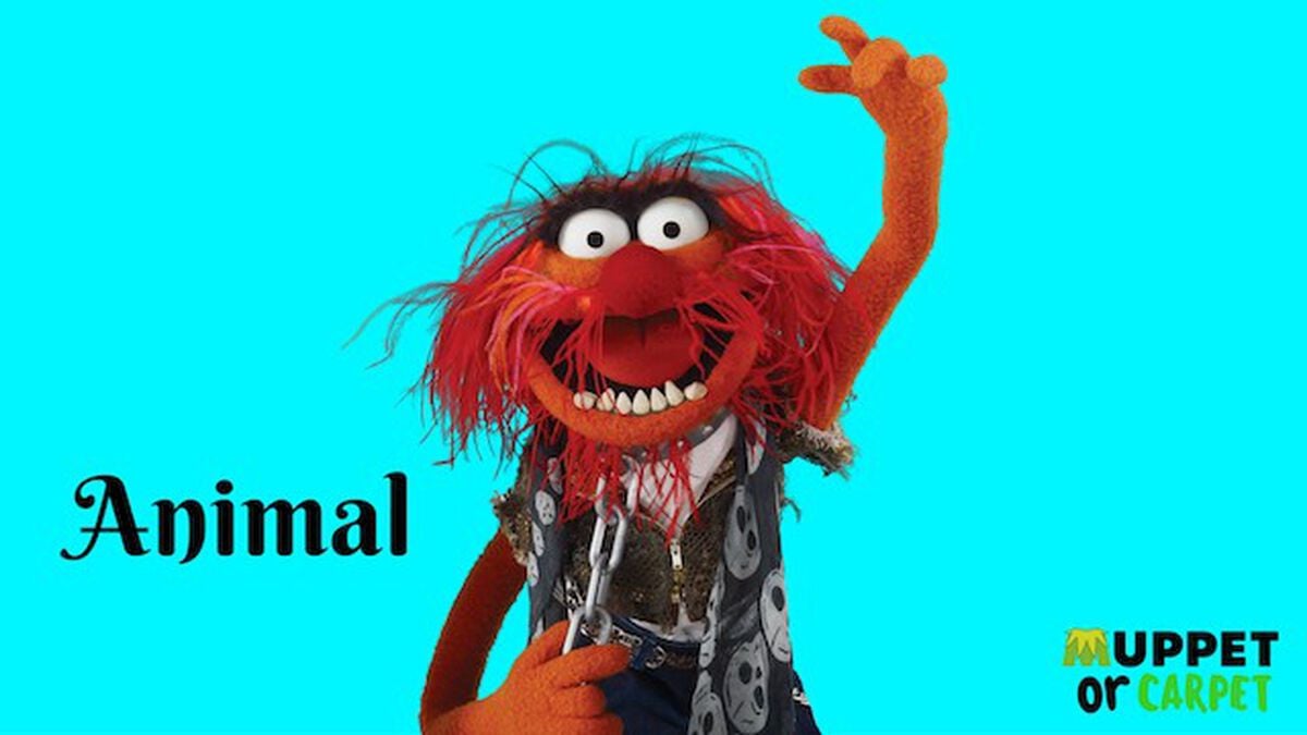 Muppet or Carpet image number null