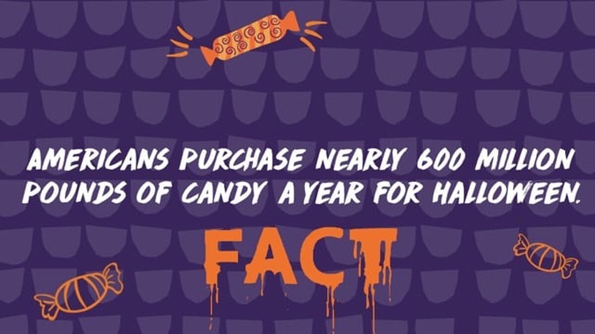 Fact or Fiction Halloween Edition image number null