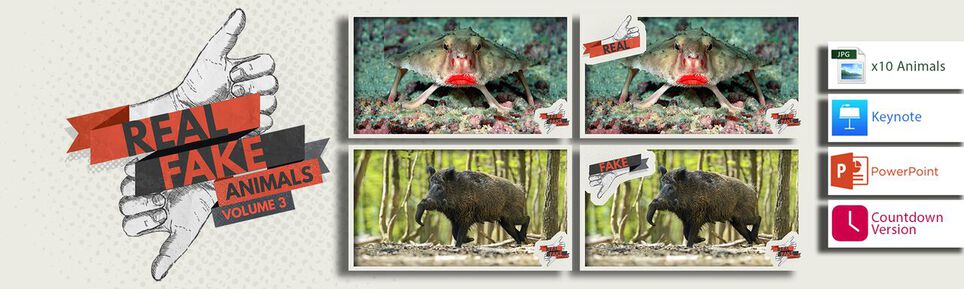 Real/Fake: Animals Volume 3