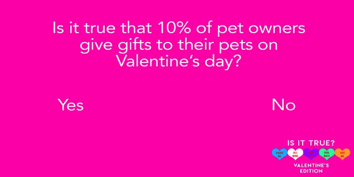 Is it True? Valentine's Edition image number null
