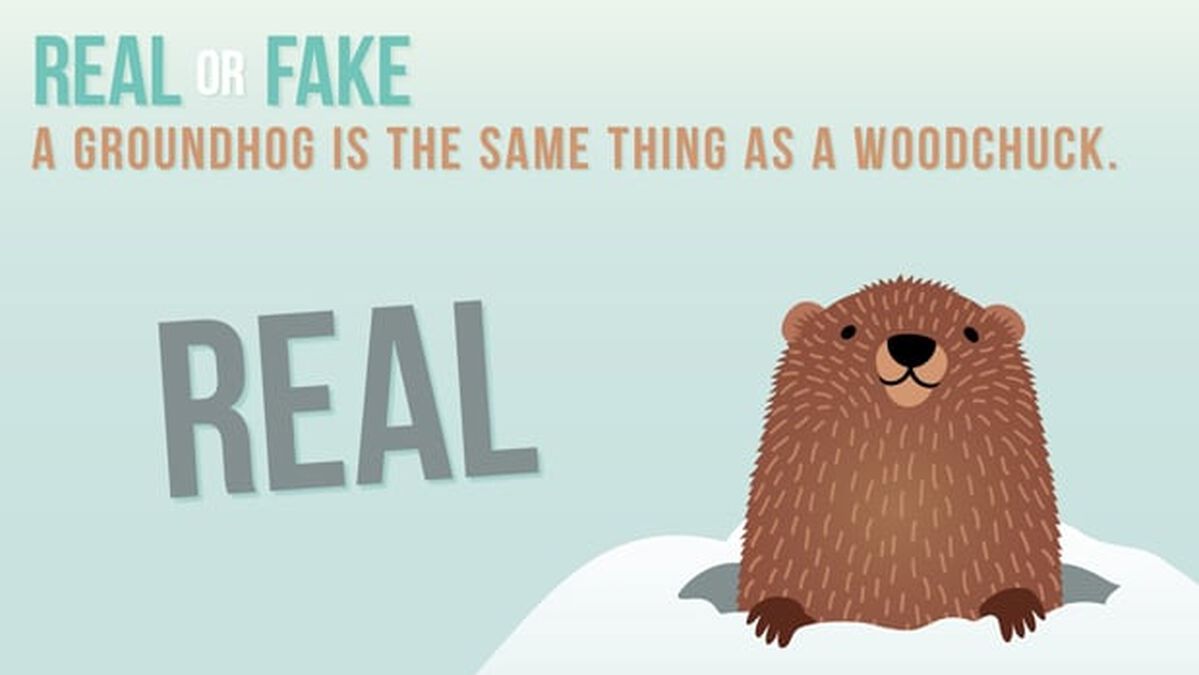 REAL OR FAKE: Groundhog Day Edition image number null