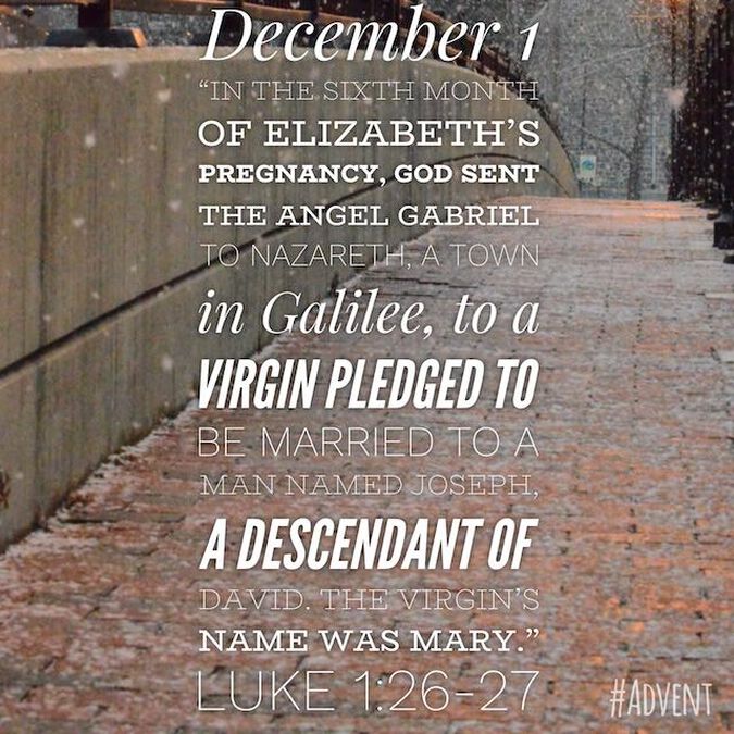 Insta Advent image number null