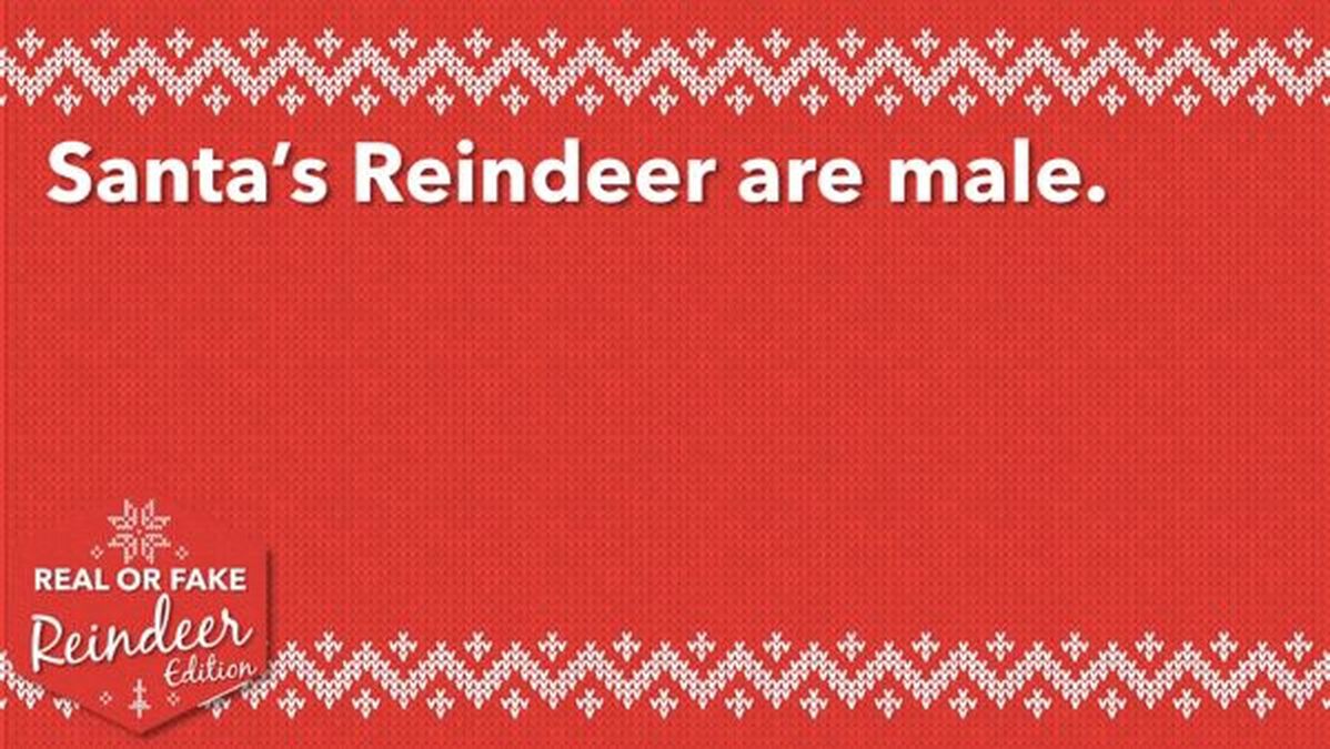Real or Fake: Reindeer Edition image number null
