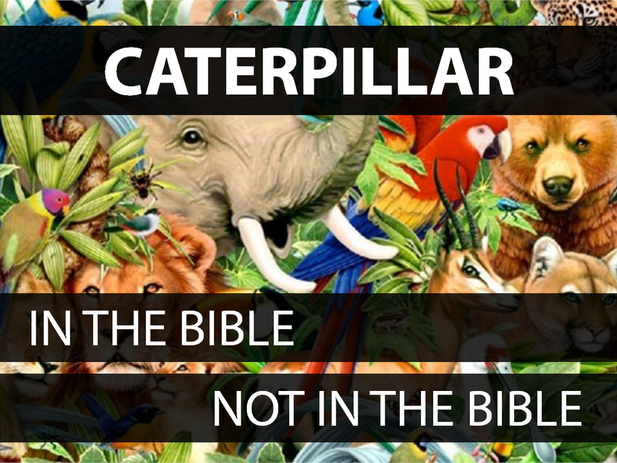 Animals of the Bible: Volume 1 image number null