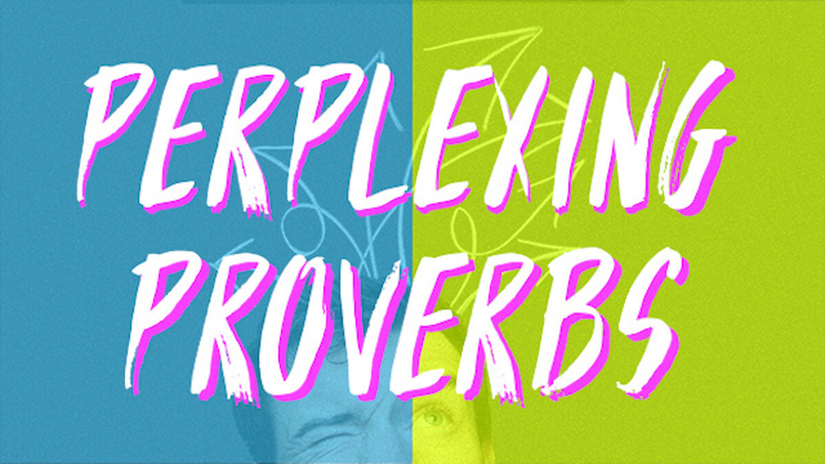 Perplexing Proverbs image number null
