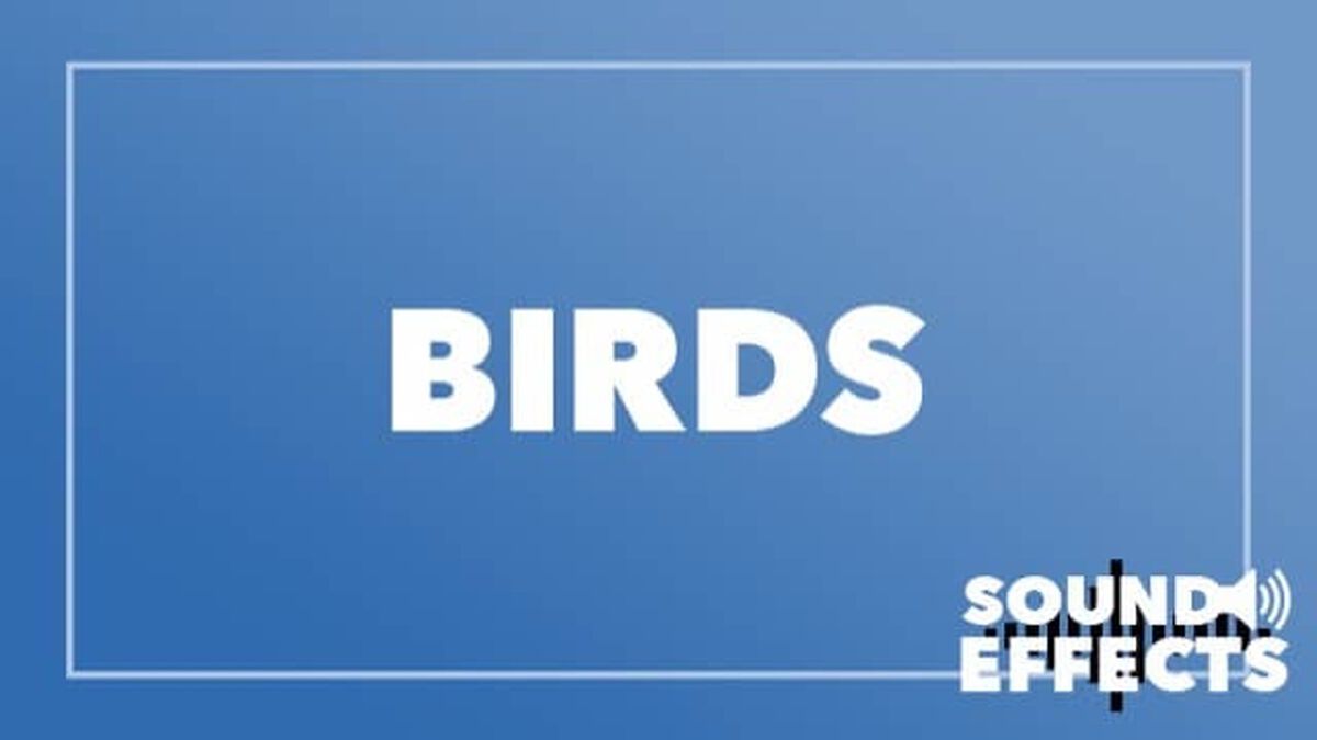 Sound Effects - Volume 2 image number null