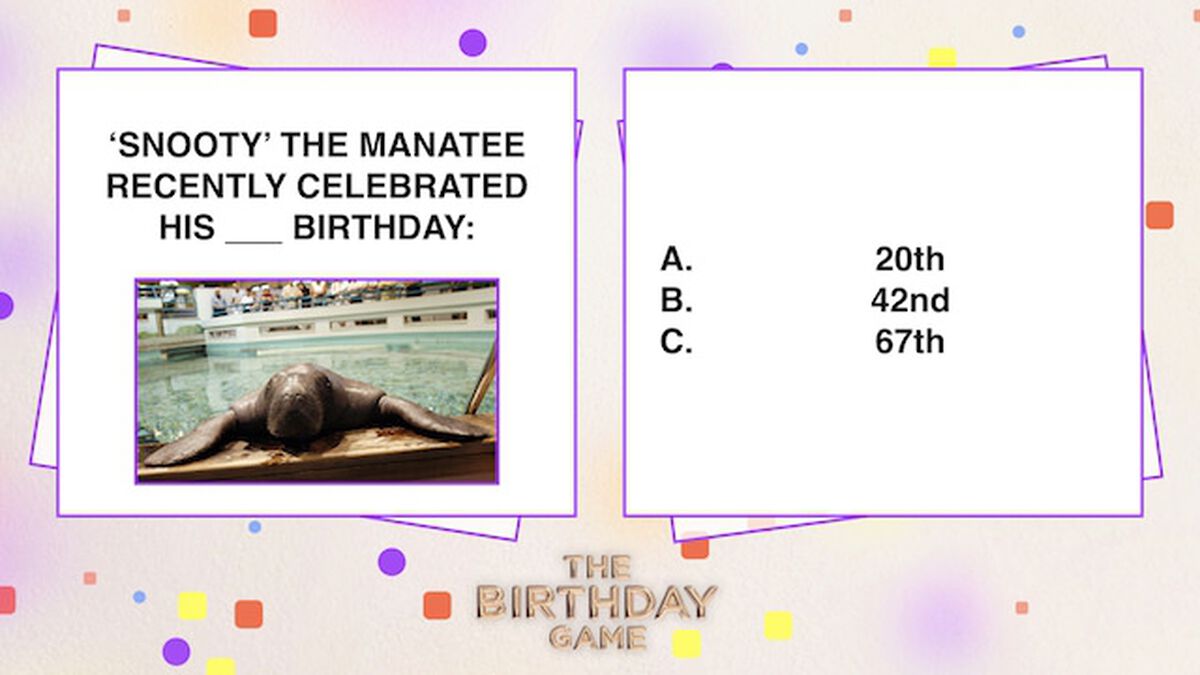The Birthday Game image number null