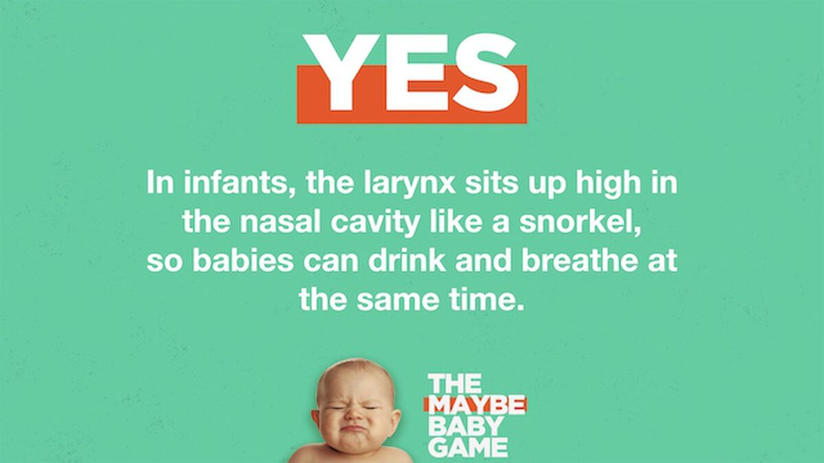The Maybe Baby Game image number null