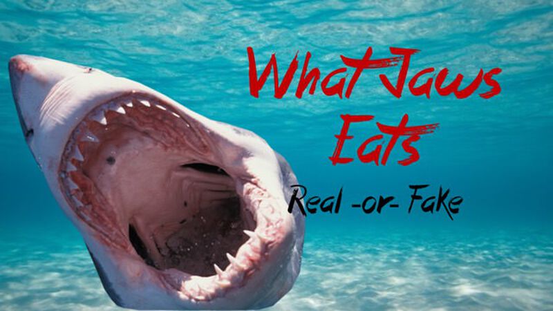 What Jaws Eats