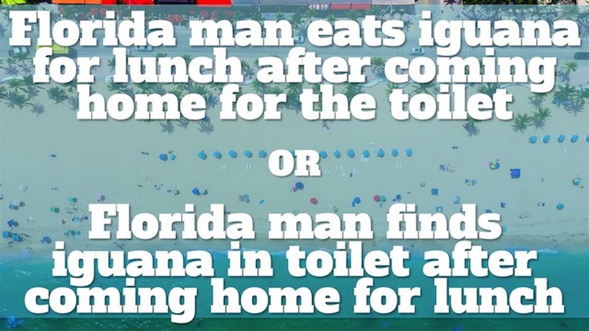 Florida Man image number null