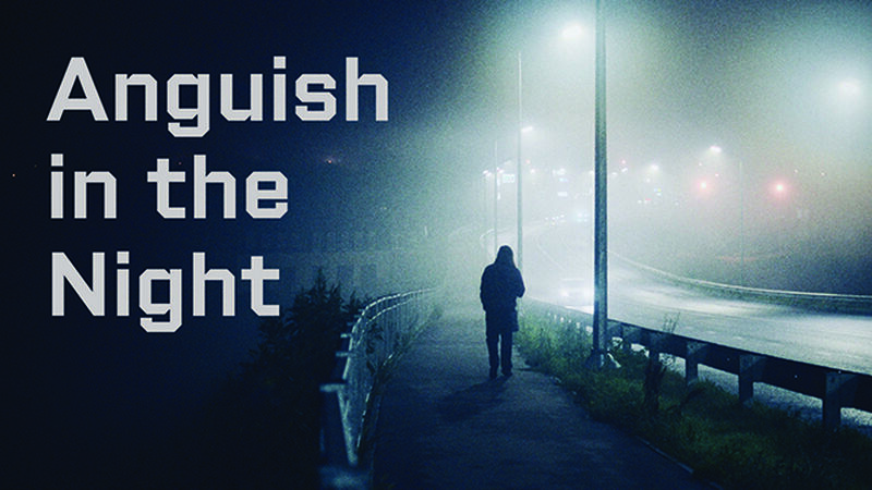 Anguish In The Night