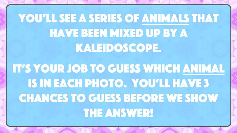 A Kaleidoscopic Quiz Vol. 2