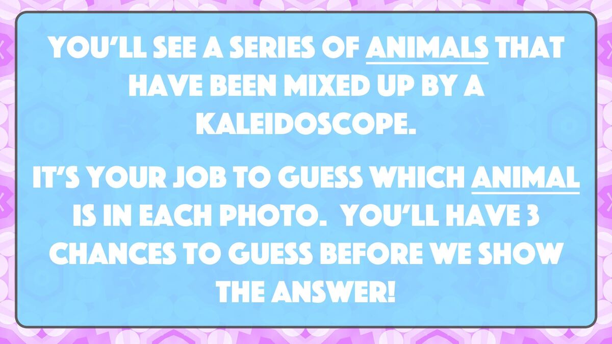 A Kaleidoscopic Quiz Vol. 2 image number null