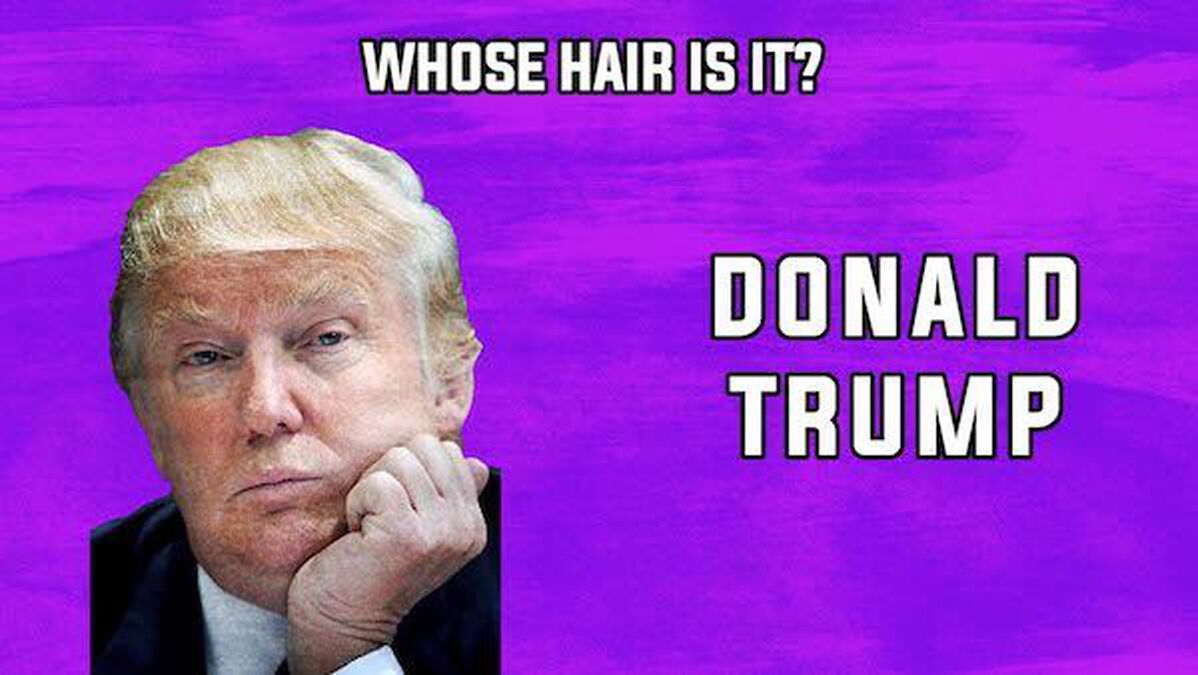 Whose Hair Is It? image number null