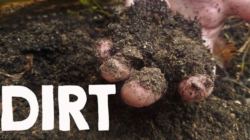 Dirt